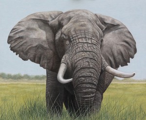Bull Elephant oil painting