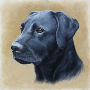 Black Labrador Oil Painting "pet portraits" "dog portraits" "dog oil portrait"