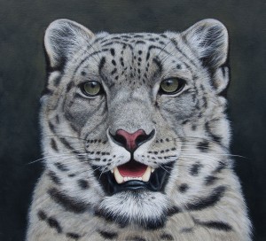 snow leopard oil painting