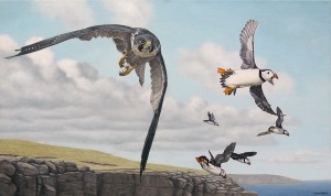 Peregrine falcon oil painting.