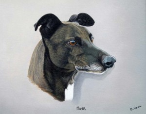 dog-portraits-in-oils