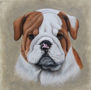 english-bulldog-dog-portrait-painting