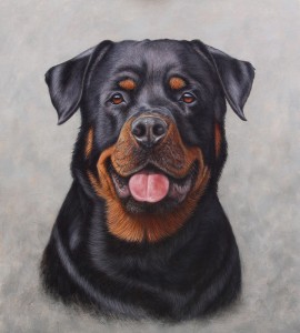 rottweiler oil painting